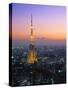 Tokyo Tower, Tokyo, Japan-Rex Butcher-Stretched Canvas