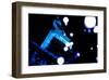 Tokyo Tower: World Diabetes Day Blue Illumination II-Takashi Kirita-Framed Art Print