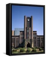 Tokyo University (Todai University), Tokyo, Honshu, Japan-null-Framed Stretched Canvas