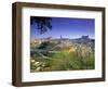 Toledo, Castilla La Mancha, Spain-Peter Adams-Framed Photographic Print