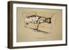 Toleration, 1930, 1st Edition of Sleeping Partners-Cecil Aldin-Framed Giclee Print