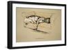 Toleration, 1930, 1st Edition of Sleeping Partners-Cecil Aldin-Framed Giclee Print