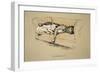 Toleration, 1930, 1st Edition of Sleeping Partners-Cecil Aldin-Framed Giclee Print