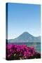 Toliman Volcano and Lago De Atitlan (Lake Atitlan), San Juan La Laguna, Guatemala-Michael DeFreitas-Stretched Canvas