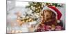 Toller Retriever in Christmas Time-VYCHEGZHANINA-Mounted Photographic Print