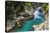 Tolminka River, Tolmin Gorges, Triglav National Park (Triglavski Narodni Park), Slovenia, Europe-Matthew Williams-Ellis-Stretched Canvas