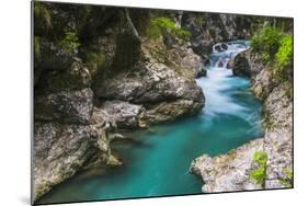 Tolminka River, Tolmin Gorges, Triglav National Park (Triglavski Narodni Park), Slovenia, Europe-Matthew Williams-Ellis-Mounted Photographic Print