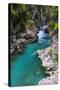 Tolminka River, Tolmin Gorges, Triglav National Park (Triglavski Narodni Park), Slovenia, Europe-Matthew Williams-Ellis-Stretched Canvas