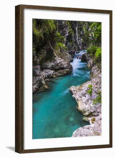 Tolminka River, Tolmin Gorges, Triglav National Park (Triglavski Narodni Park), Slovenia, Europe-Matthew Williams-Ellis-Framed Photographic Print