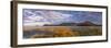 Tologa Bay, East Cape, North Island, New Zealand-Doug Pearson-Framed Photographic Print