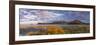 Tologa Bay, East Cape, North Island, New Zealand-Doug Pearson-Framed Photographic Print