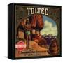 Toltec Brand - Rivera, California - Citrus Crate Label-Lantern Press-Framed Stretched Canvas