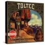 Toltec Brand - Rivera, California - Citrus Crate Label-Lantern Press-Stretched Canvas