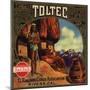 Toltec Brand - Rivera, California - Citrus Crate Label-Lantern Press-Mounted Art Print