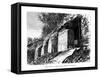 Toltec Ruins, Mexico, 19th Century-Taylor-Framed Stretched Canvas