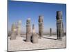 Toltec Statues, Tula, Mexico, North America-Adina Tovy-Mounted Photographic Print