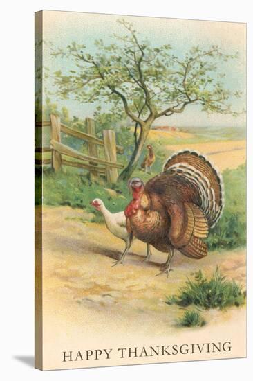 Tom and Hen Turkeys-null-Stretched Canvas