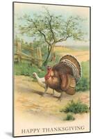 Tom and Hen Turkeys-null-Mounted Premium Giclee Print