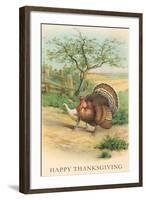 Tom and Hen Turkeys-null-Framed Art Print