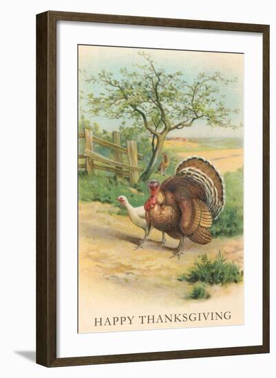 Tom and Hen Turkeys-null-Framed Art Print