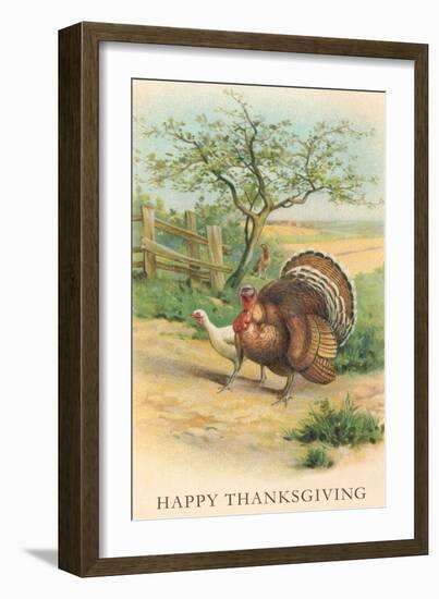 Tom and Hen Turkeys-null-Framed Art Print