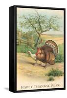 Tom and Hen Turkeys-null-Framed Stretched Canvas
