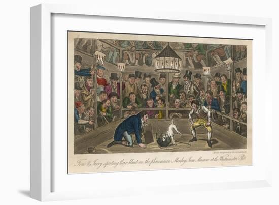 Tom and Jerry Sporting Their Blunt on the Phenomenon Monkey Jacco Macacco at the Westminster Pit-null-Framed Art Print