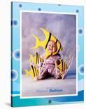 Baby Yellow Fish-Tom Arma-Stretched Canvas