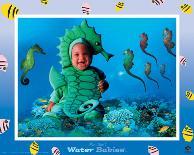 Baby Seahorse-Tom Arma-Stretched Canvas