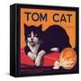 Tom Cat Brand - Orosi, California - Citrus Crate Label-Lantern Press-Framed Stretched Canvas