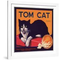 Tom Cat Brand - Orosi, California - Citrus Crate Label-Lantern Press-Framed Art Print