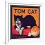 Tom Cat Brand - Orosi, California - Citrus Crate Label-Lantern Press-Framed Art Print