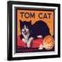 Tom Cat Brand - Orosi, California - Citrus Crate Label-Lantern Press-Framed Art Print