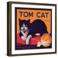 Tom Cat Brand - Orosi, California - Citrus Crate Label-Lantern Press-Framed Art Print