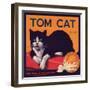 Tom Cat Brand - Orosi, California - Citrus Crate Label-Lantern Press-Framed Art Print