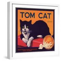 Tom Cat Brand - Orosi, California - Citrus Crate Label-Lantern Press-Framed Art Print