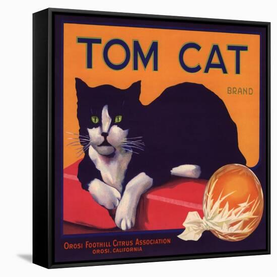 Tom Cat Brand - Orosi, California - Citrus Crate Label-Lantern Press-Framed Stretched Canvas