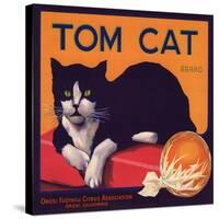 Tom Cat Brand - Orosi, California - Citrus Crate Label-Lantern Press-Stretched Canvas