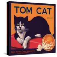 Tom Cat Brand - Orosi, California - Citrus Crate Label-Lantern Press-Stretched Canvas