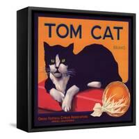 Tom Cat Brand - Orosi, California - Citrus Crate Label-Lantern Press-Framed Stretched Canvas