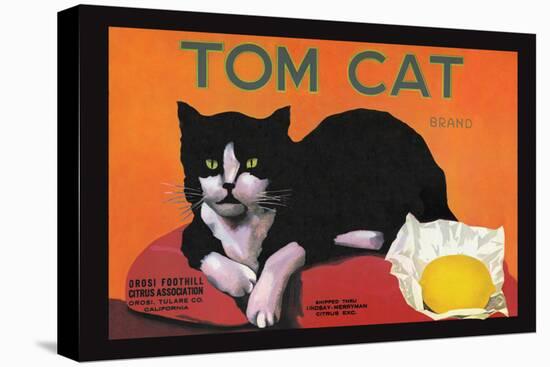 Tom Cat Brand-null-Stretched Canvas