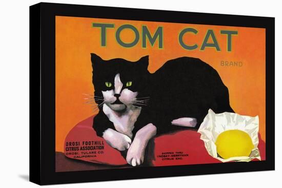 Tom Cat Brand-null-Stretched Canvas