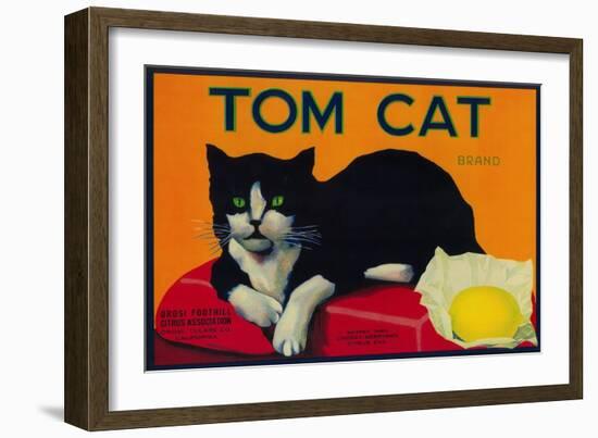 Tom Cat Lemon Label - Orosi, CA-Lantern Press-Framed Premium Giclee Print