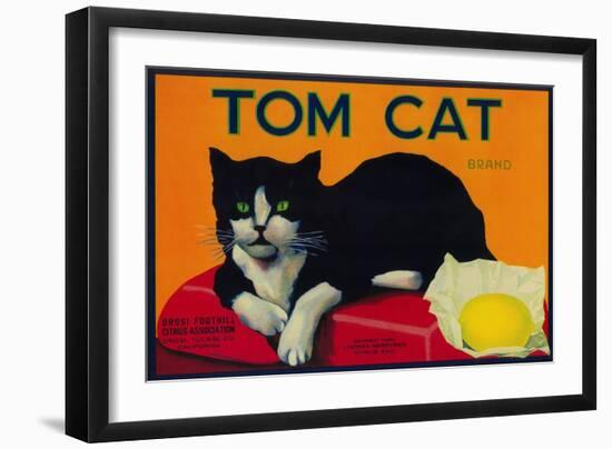 Tom Cat Lemon Label - Orosi, CA-Lantern Press-Framed Premium Giclee Print