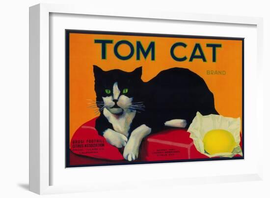 Tom Cat Lemon Label - Orosi, CA-Lantern Press-Framed Premium Giclee Print
