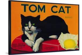 Tom Cat Lemon Label - Orosi, CA-Lantern Press-Stretched Canvas