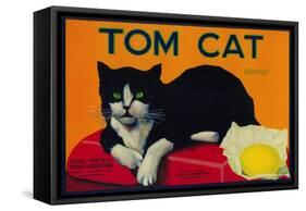 Tom Cat Lemon Label - Orosi, CA-Lantern Press-Framed Stretched Canvas