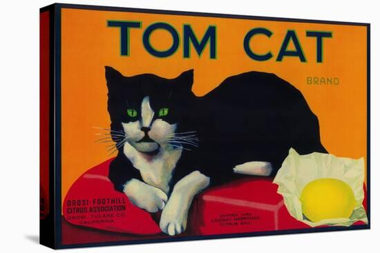 Tom Cat Lemon Label - Orosi, CA-Lantern Press-Stretched Canvas