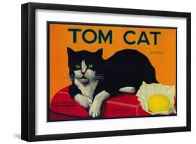 Tom Cat Lemon Label - Orosi, CA-Lantern Press-Framed Art Print