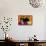 Tom Cat Lemon Label - Orosi, CA-Lantern Press-Stretched Canvas displayed on a wall